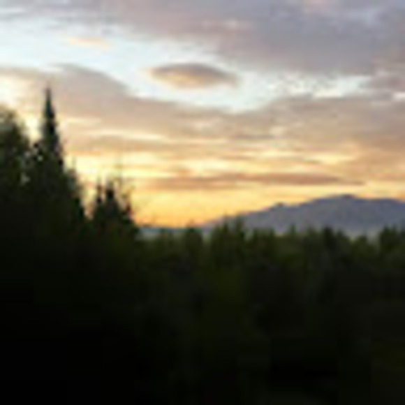 Meet your Posher, Ooda - Picture 1 of 1